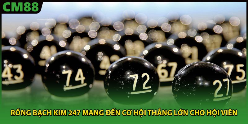 Rồng bạch kim 247 mang đến cơ hội thắng lớn cho hội viên